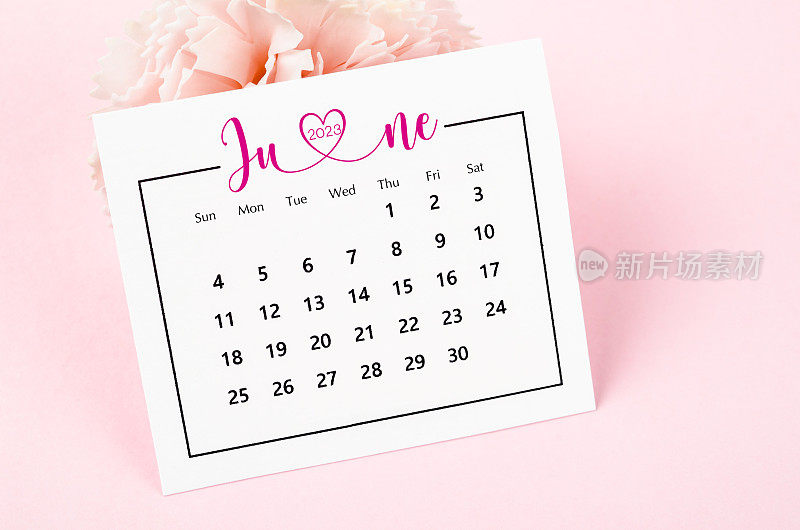 Close up the June 2023 Monthly desk calendar with dried flower on pink background.